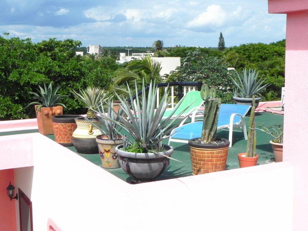Casa Gatos Aparthotel Akumal Exteriör bild